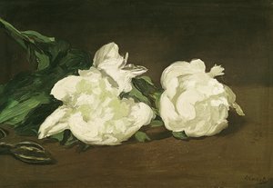 Gren av hvite peoner og sekatører, 1864